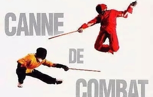 Cycle de Canne de combat