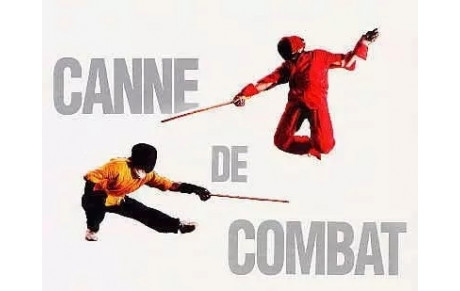 Cycle de Canne de combat